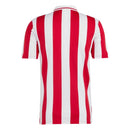 Olympiacos Centenary Fan Jersey 2024/25