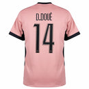 Paris Saint-Germain Jordan Third Fan Jersey 2024/25